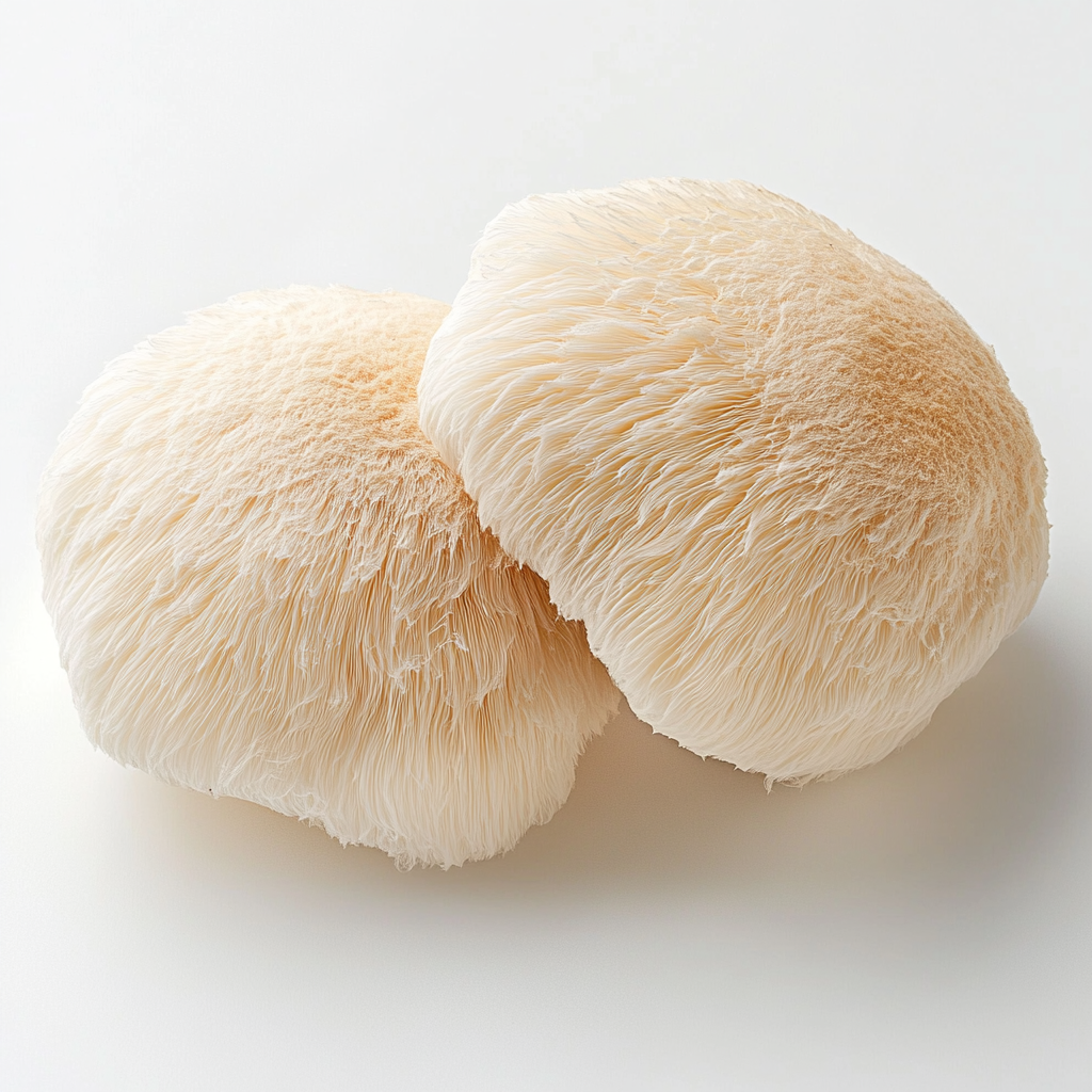 Lion's Mane Liquid Culture (10cc)